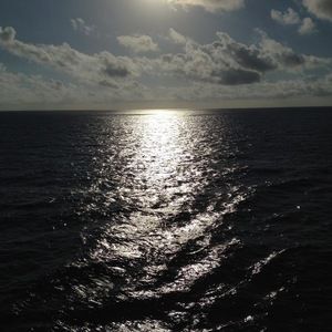 Meet your Posher, Abi